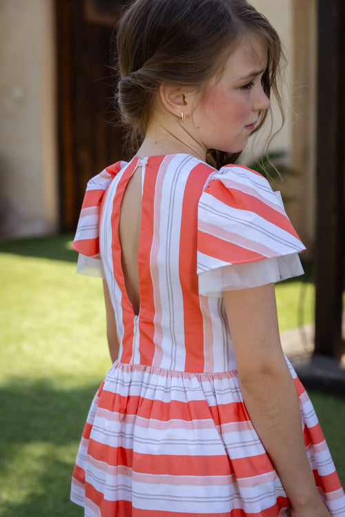 Rochy Stripe Dress